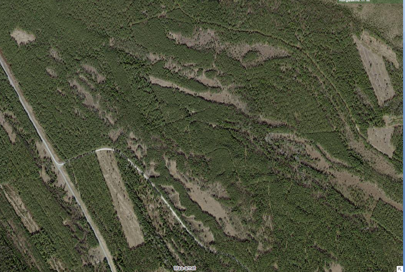 Kuvatõmmis Maa-amet geoportaalist. Satelliidipilt metsamaast Hiiumaal.