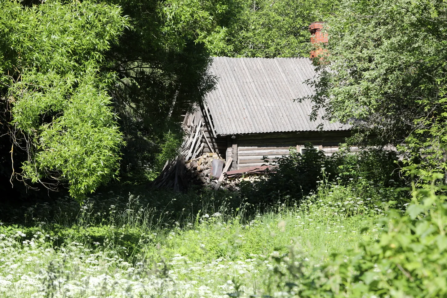 Фото статьи