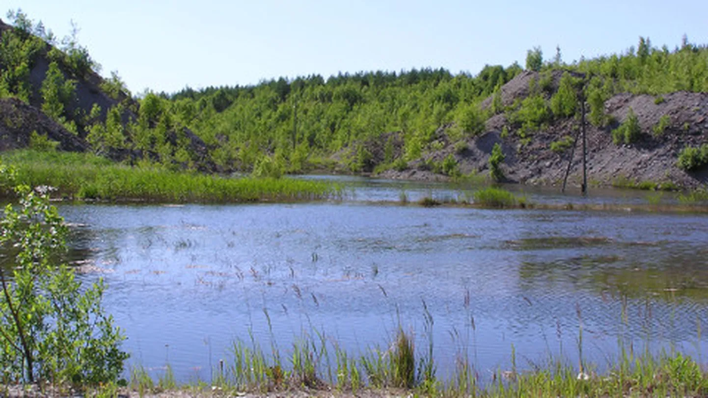 Sirgalasse tahavad tegutsema mahtuda nii kaitsevägi, kes kavandab sinna harjutusvälja laiendust, kui tuulepark.