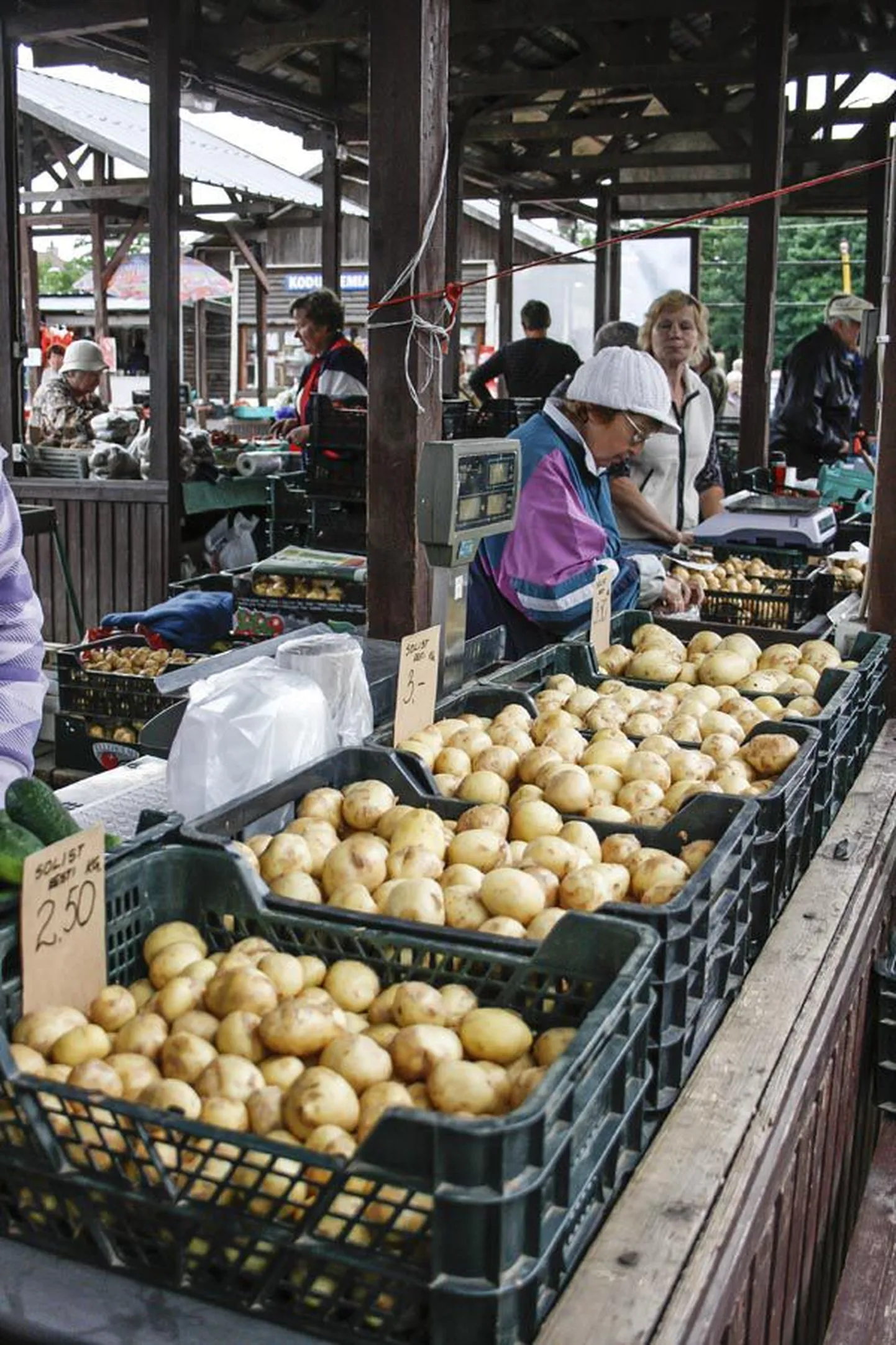 Peegi talu on kasvuhoones kasvatatud värskeid kartuleid Viljandi turul pakkunud juba kümme päeva.