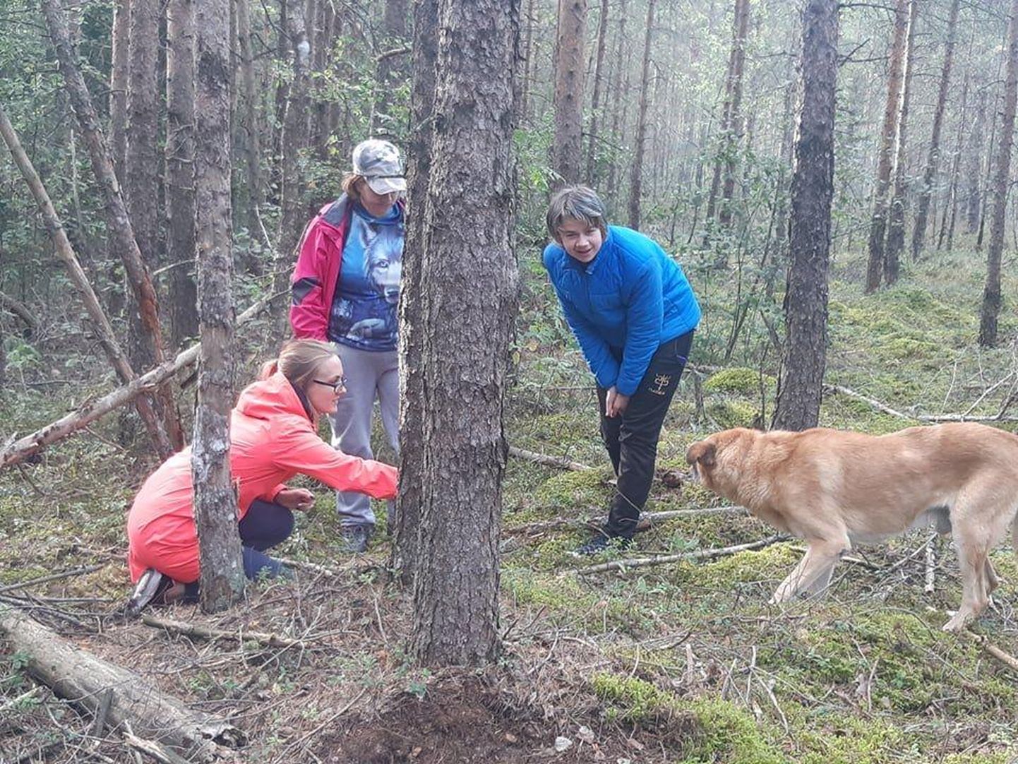 Virge Piisner (vasakult) koos Paikassi vabatahtlike Relika ja Allariga tulid kohe metsa koera abistama.