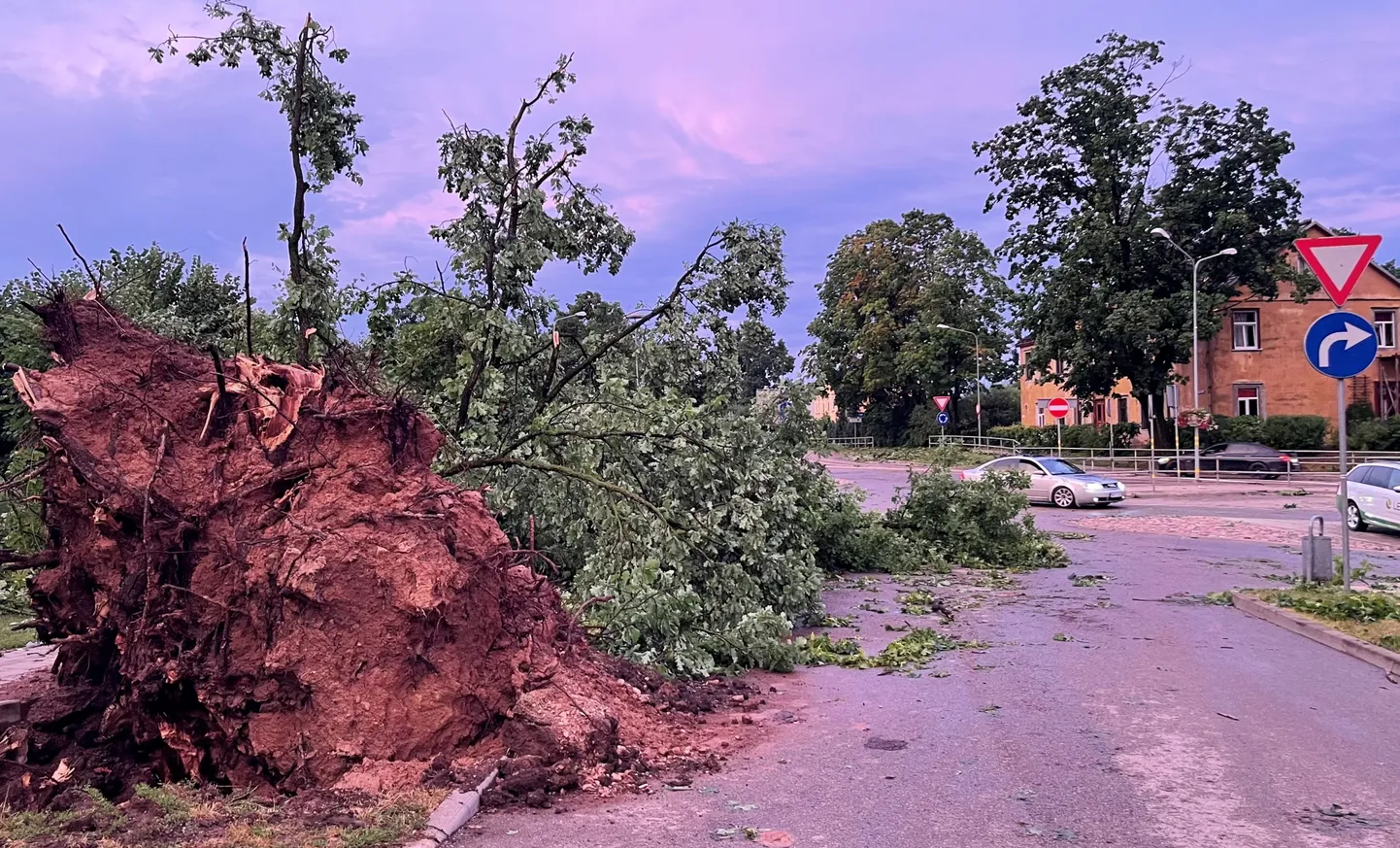Raksta foto