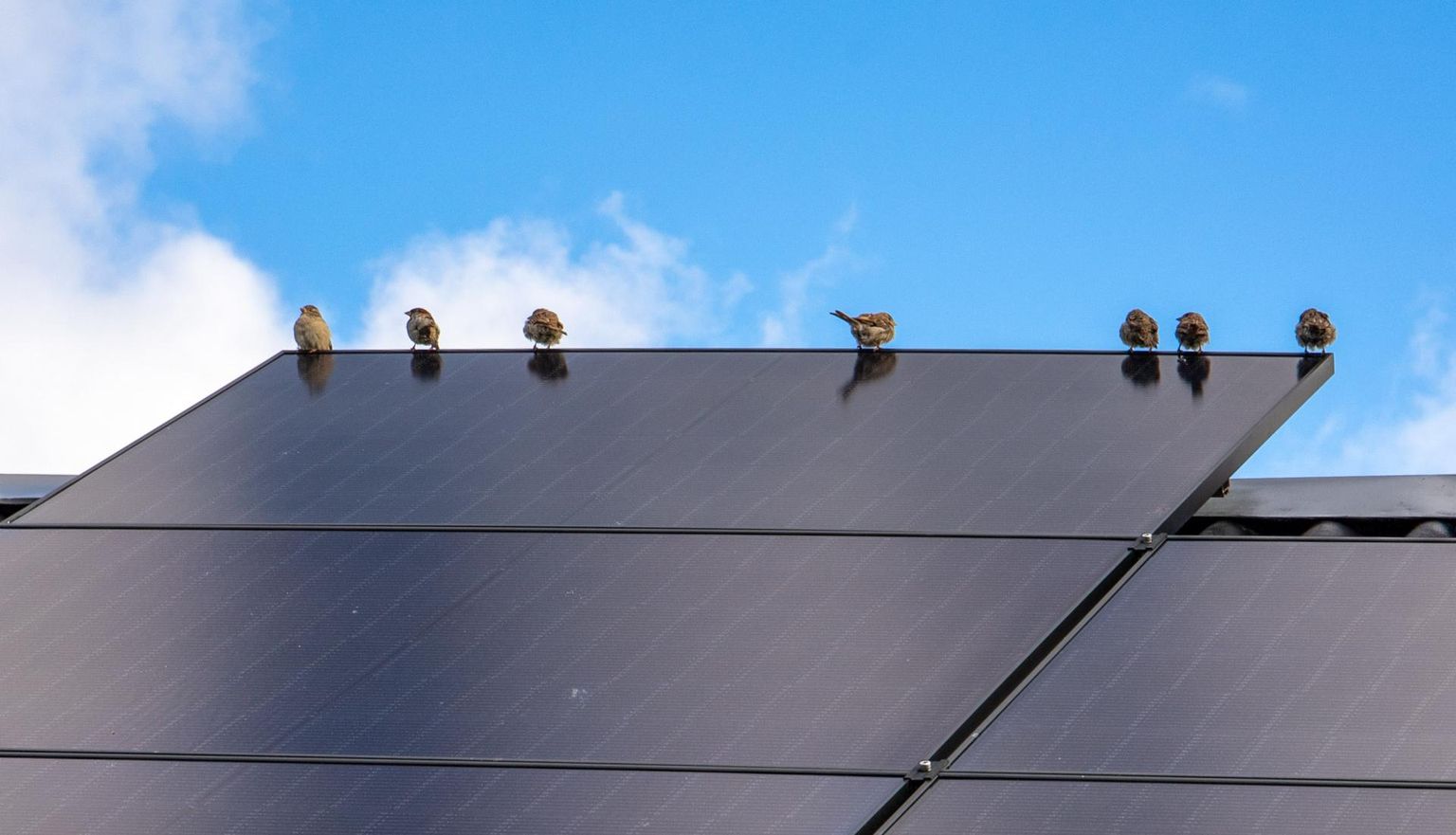 Suure osa Pärnumaa päikeseenergia tootjatest moodustavad majapidamised, kus enda tarbeks on katusele paigaldatud päikesepaneelid.