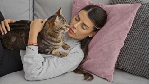 Üllatavad põhjused, miks kass inimeste peal magada armastab