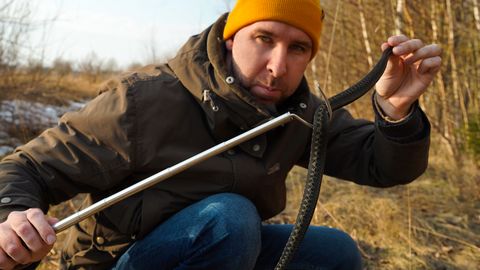 Rästik vs. nastik: kuidas eristada mürgist maod