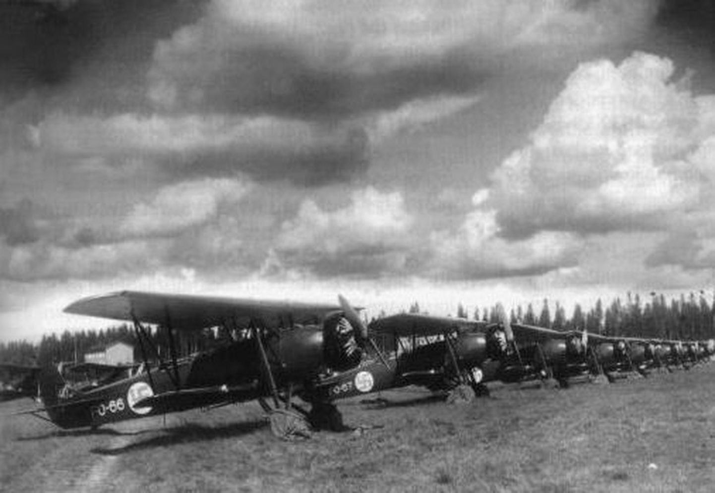 Fokker C.V. lennukid