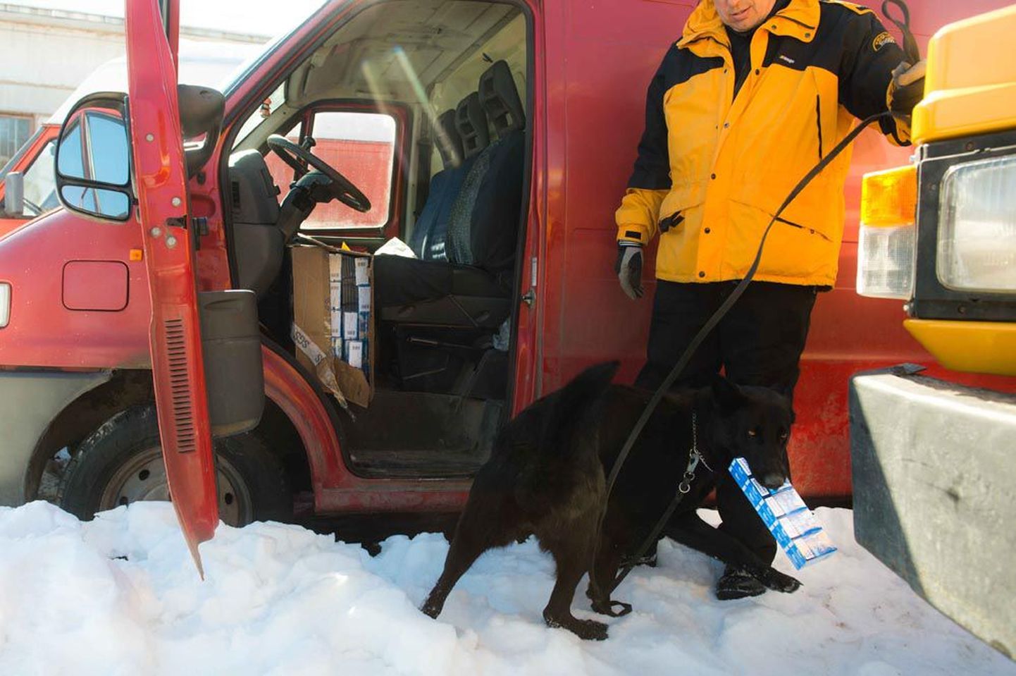 Tubakakoerte treening näeb välja nõnda, et koerajuht ja treener peidavad plokid eri kõrgusele sõiduki sisse ja selle välisosadesse ning koer peab need üles leidma