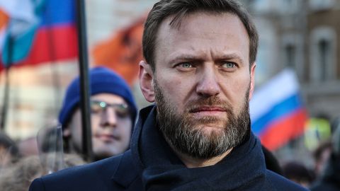  Брянского школьника забрали в полицию прямо с уроков за поддержку Навального