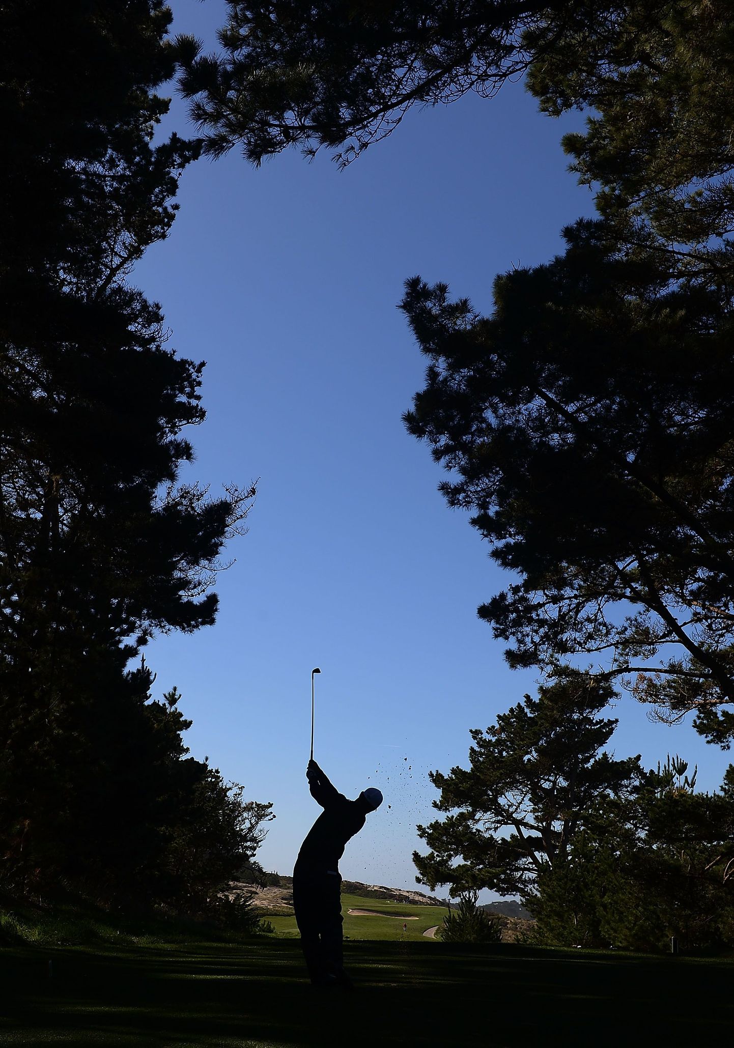 Rootsi golfar kasutas ämblikumürgi kättesaamiseks pallihoidjat