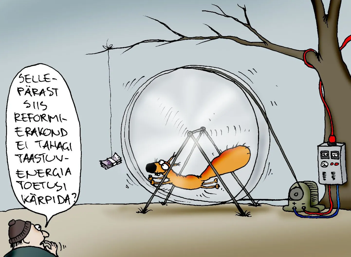 Artikli foto