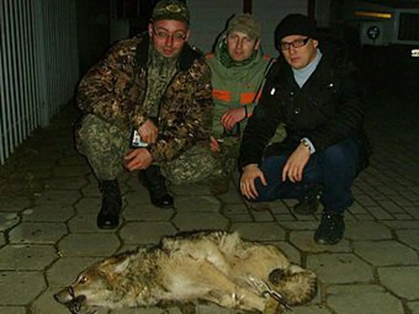 Спецназовцы и волк