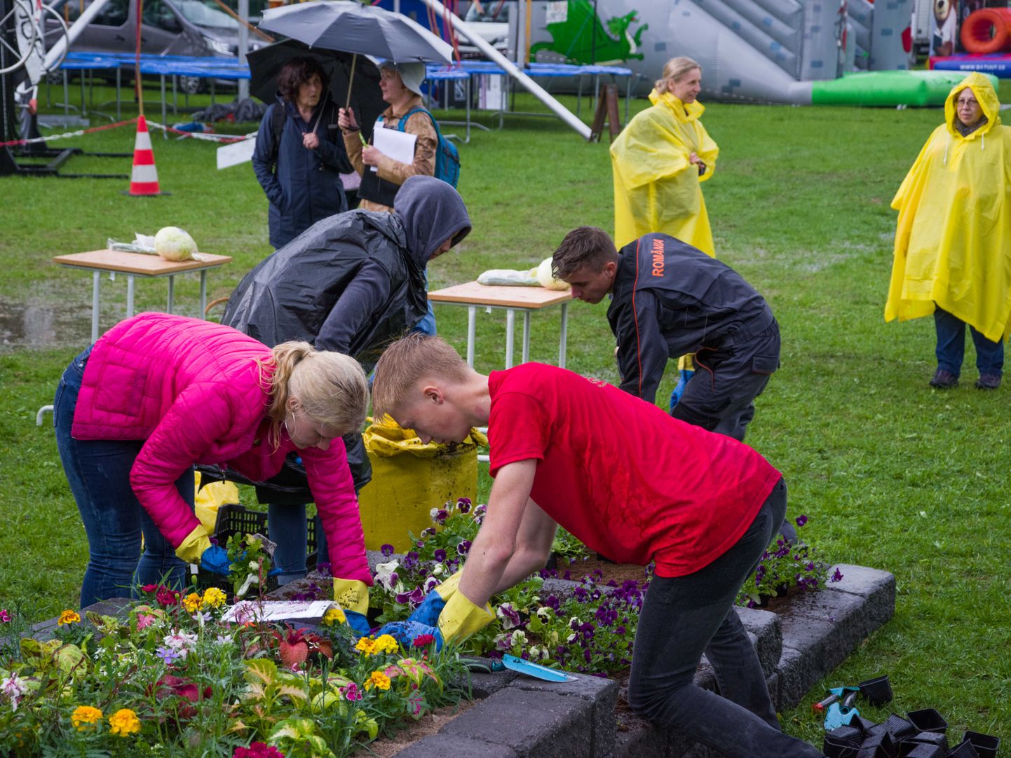 Aiandust õppivad noored panid oma teadmised proovile Türi lillelaadal toimunud kutsevõistlusel.