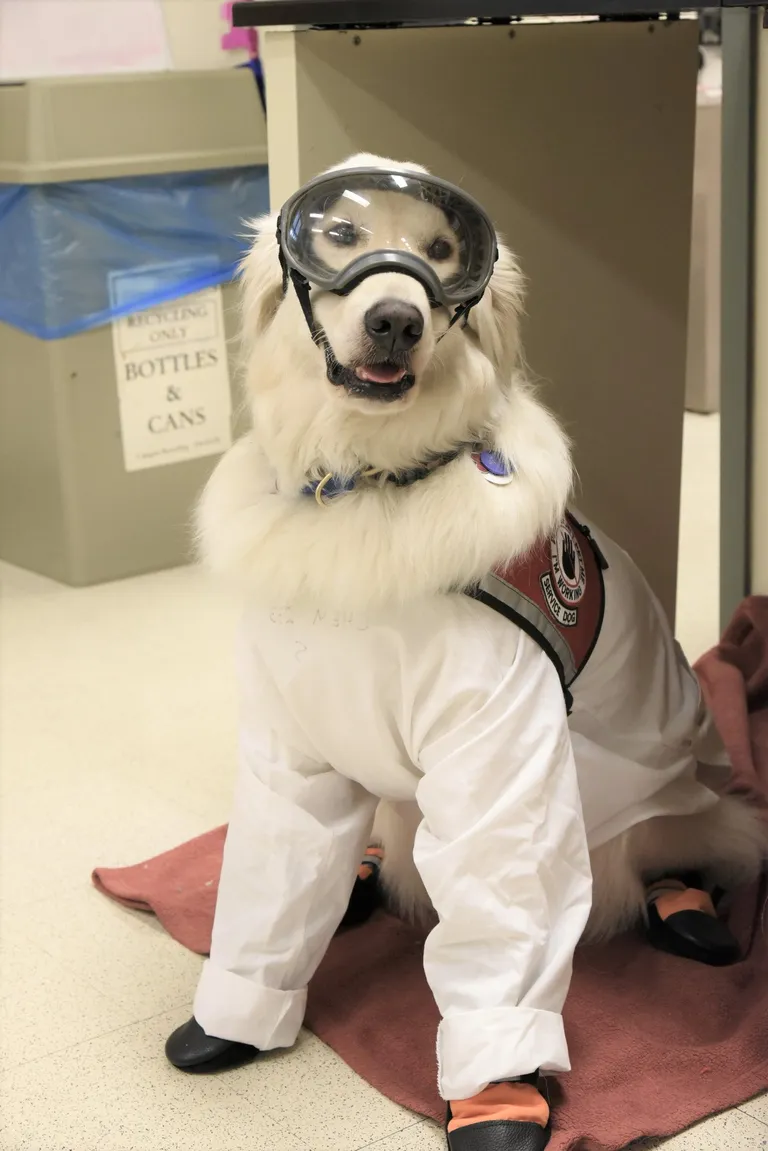 Sampson kaitsekostüümis.