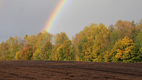 Kāds laiks gaidāms nākamnedēļ?