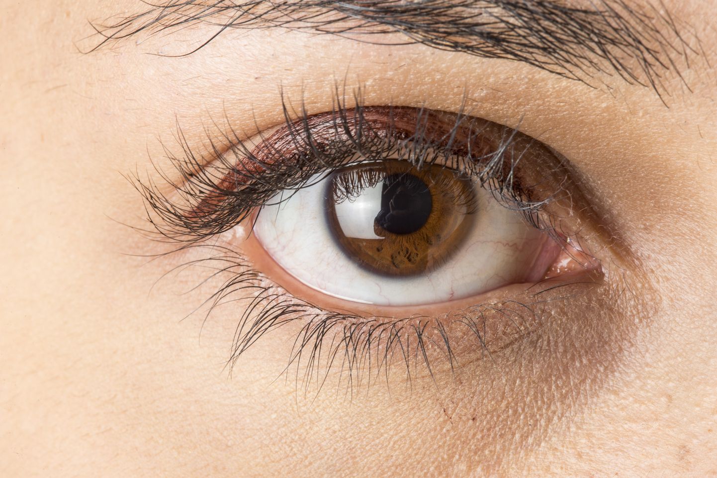 Pruun silm. Pilt on illustreeriv