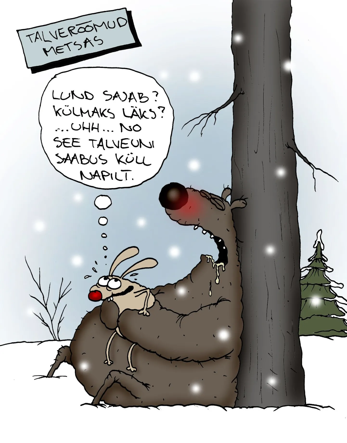 Talv jõudis kohale.