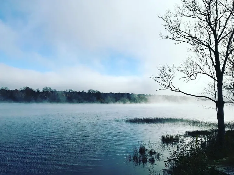 Raksta foto
