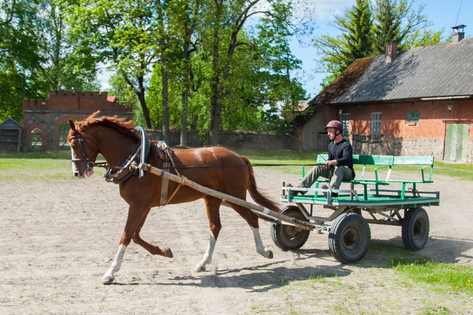 Sihtasutusse Eesti Maaelumuuseumid hakkab kuuluma Tori hobusekasvanduski.