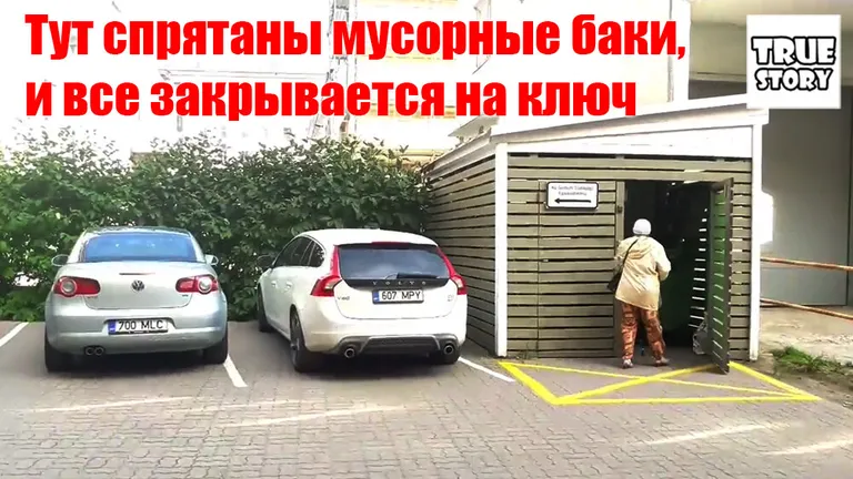 Фото статьи