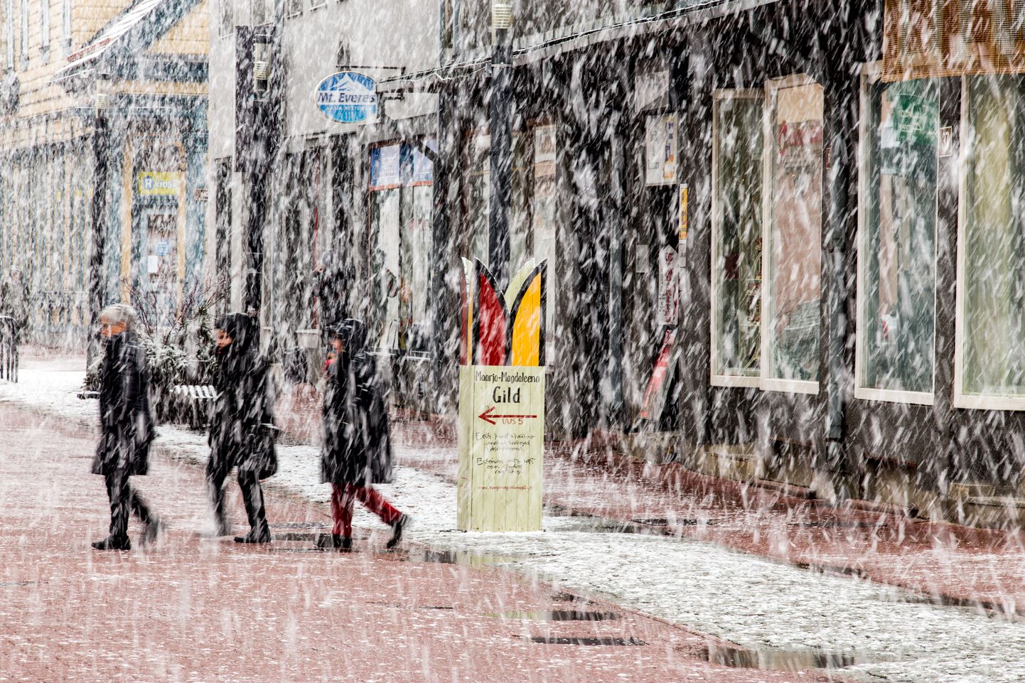 Pärnu Rüütli tänav , paks lumesadu, kevad , kevade algus.