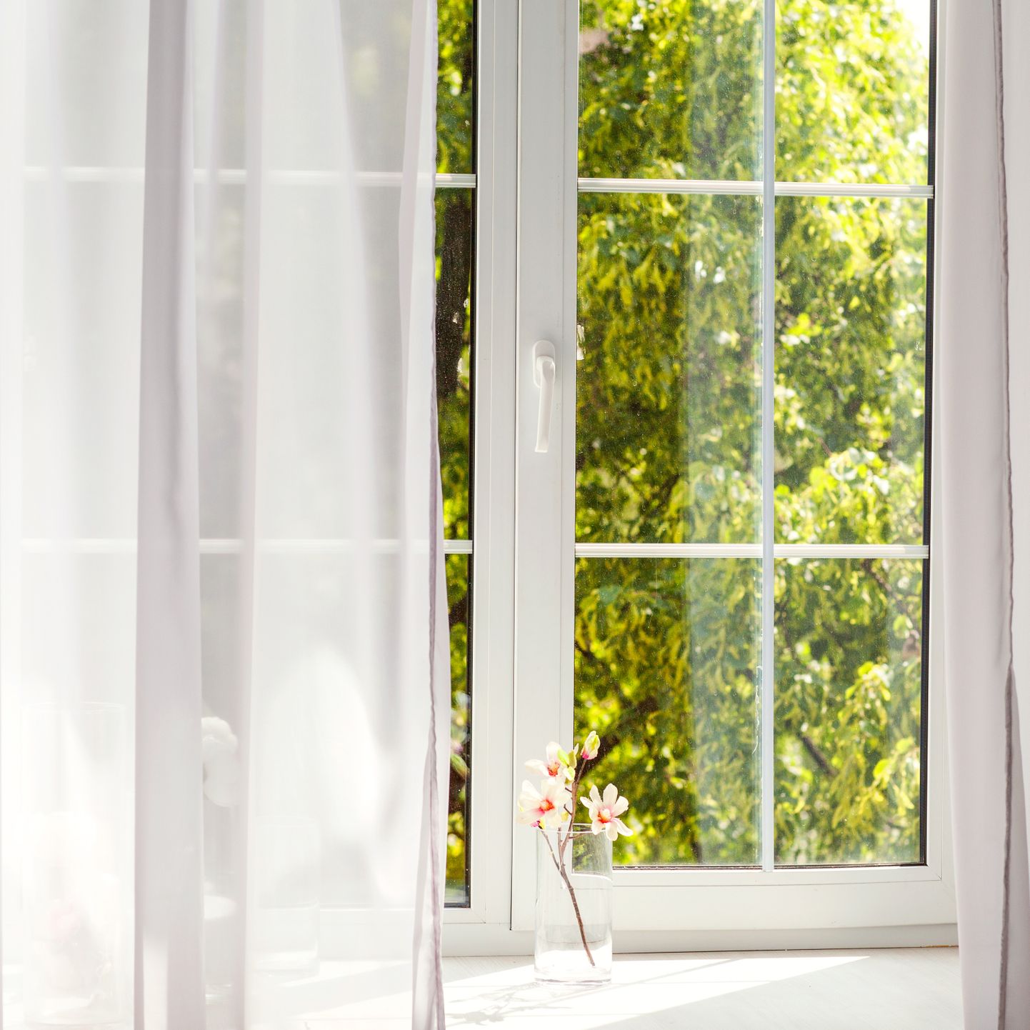 Vanade akende fookuspäev innustab hooldama ja taastama väärikaid aknaid.