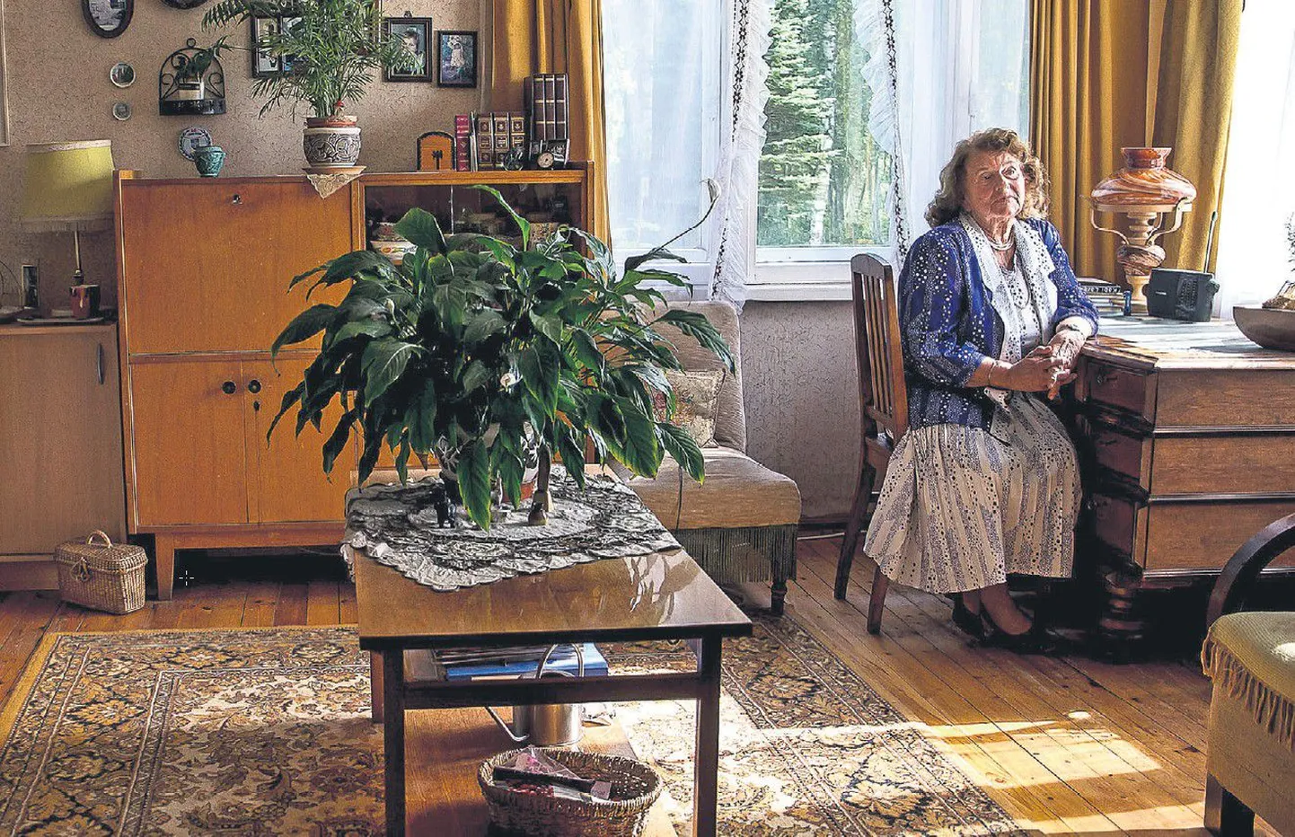 Artikli foto