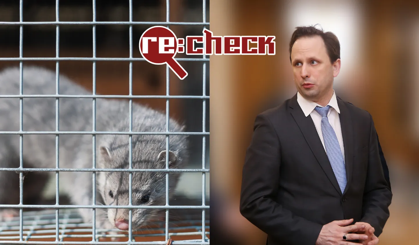 Raksta foto