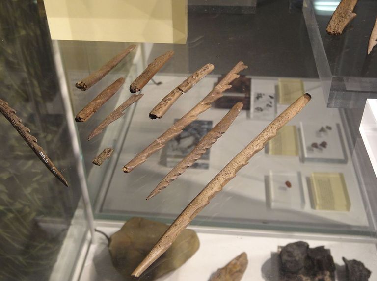 Star Carrist leitud kiviaegsed esemed
