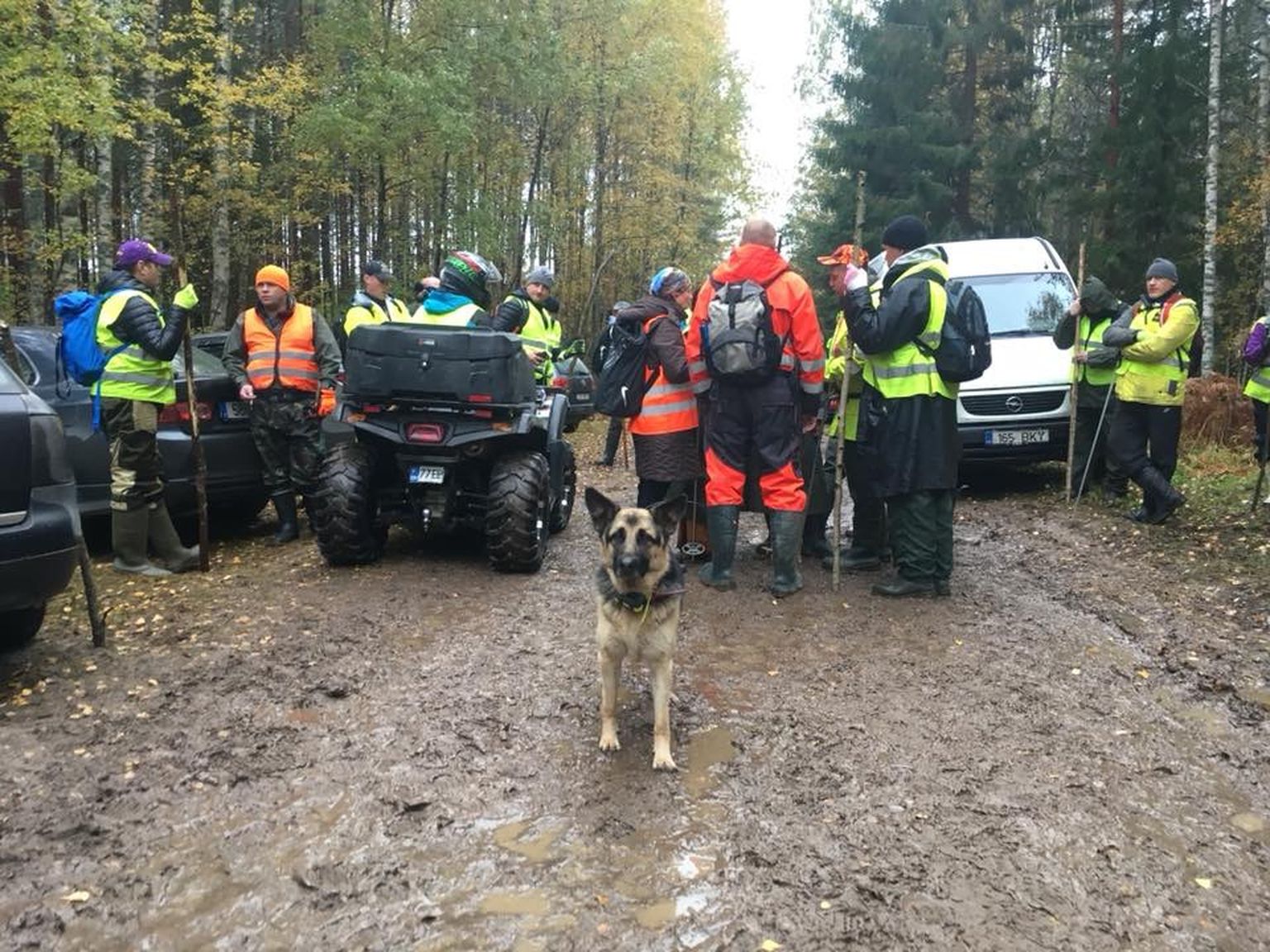 Поиски пропавшего в лесу Ивана Тогидного.