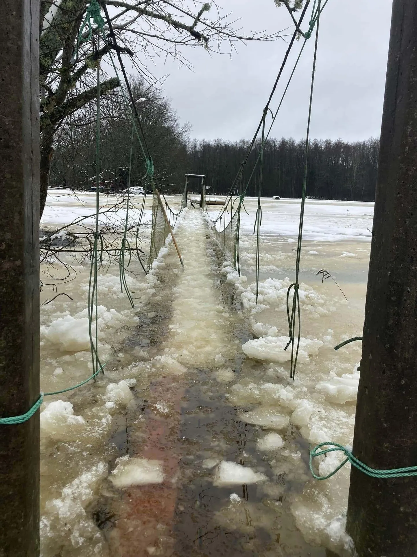 2010. ja 2011. aasta kevadel oli veetase Karuskosel samuti väga kõrge, siis tõusis rippsild jõeveega koos kõrgele, hõljus ja jäi terveks. Nüüd ei pruugi asi nii õnnelikult lõppeda, sest laudis ja trossid kipuvad jää sisse külmuma. Selline oli vaatepilt nädal tagasi. Nüüdseks on veetase natuke alanenud ning pererahvas on jääd silla ümbert ära lõhkunud ja kaitsevõrgu eemaldanud.