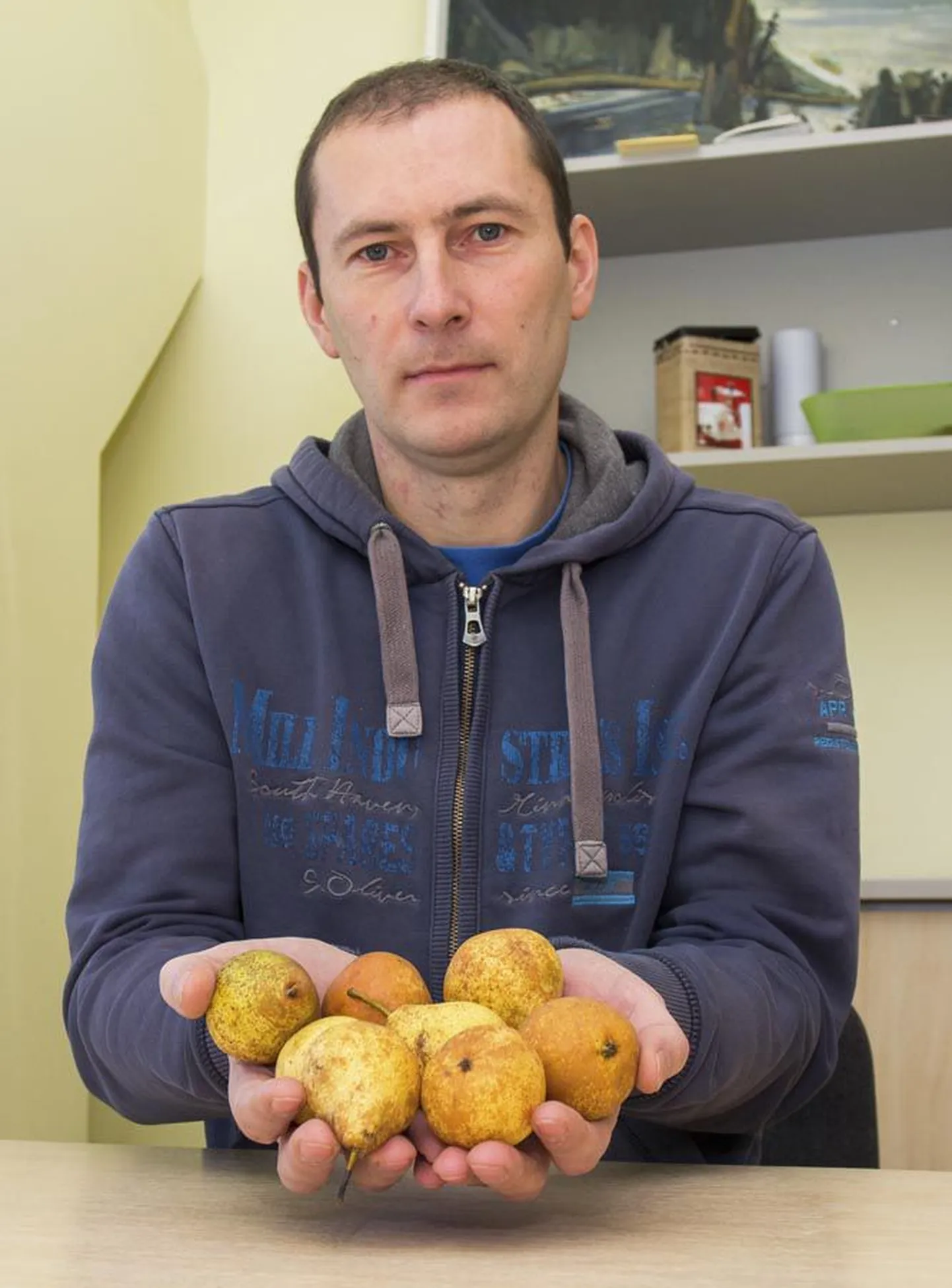 Polli teadur Neeme Univer näitab 
«Belorusskaja pozdnaja» pirne, mis säilivad hoidlas märtsikuuni.