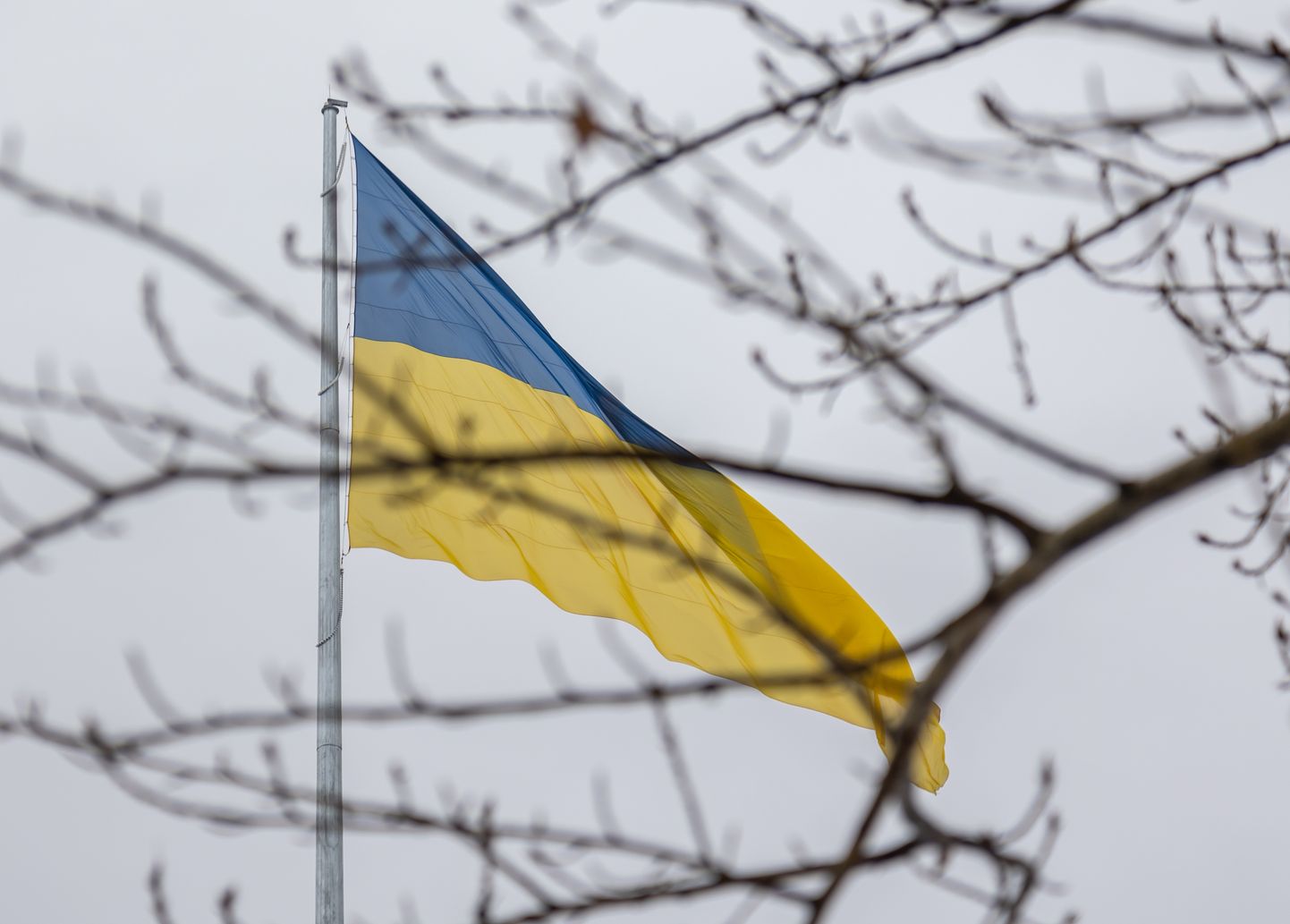 Ukraina lipp Euroopa kõrgeima, 102 meetri kõrguse lipuvarda otsas. Pilt on illustratiivne.