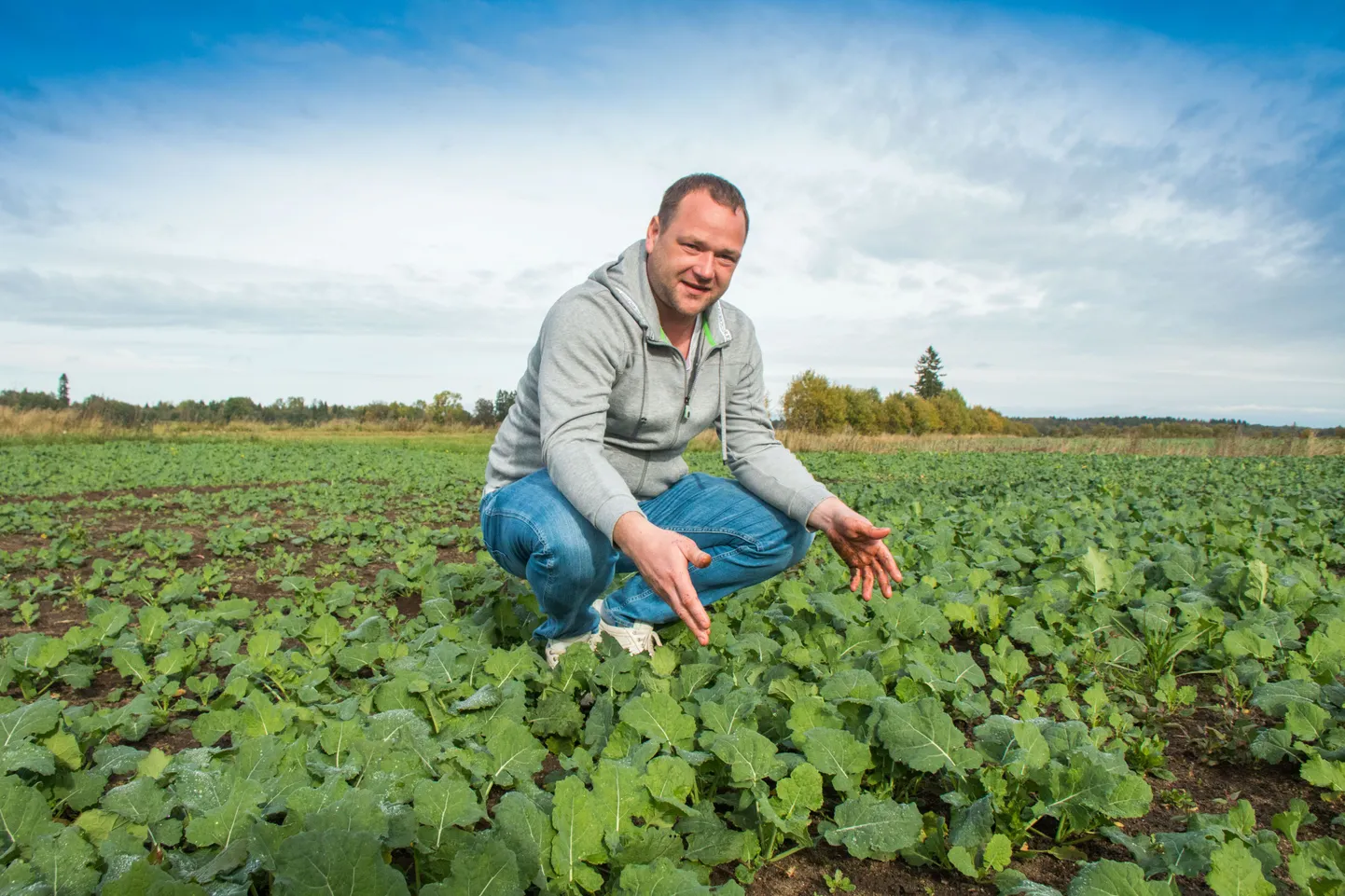 Aaspere Agro juhataja Aimur Ilisson näitas eile põldu, mis on tulevase põlevkivikaevanduse peal.