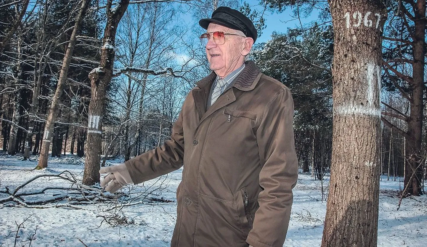 Ülo Karula on rahul, et 1967. aastal istutatud tammesid ümbritsevate puude võrasid on kärbitud ja park kenasti korras. Ainult see nimi, Koolinoorte metsapark, ei passi.