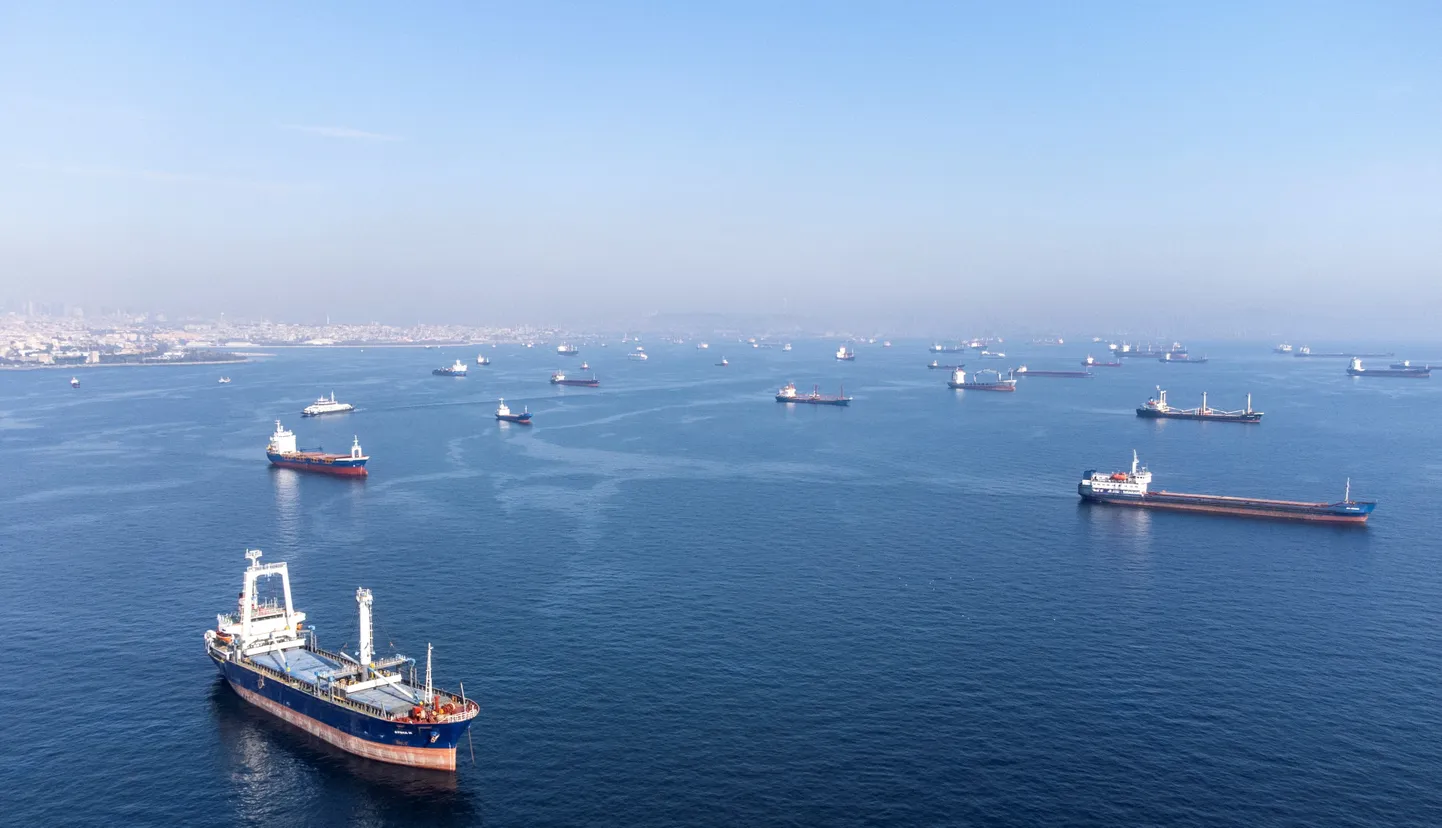 Viljalaevad ootavad läbipääsu Bosporuse väinast.