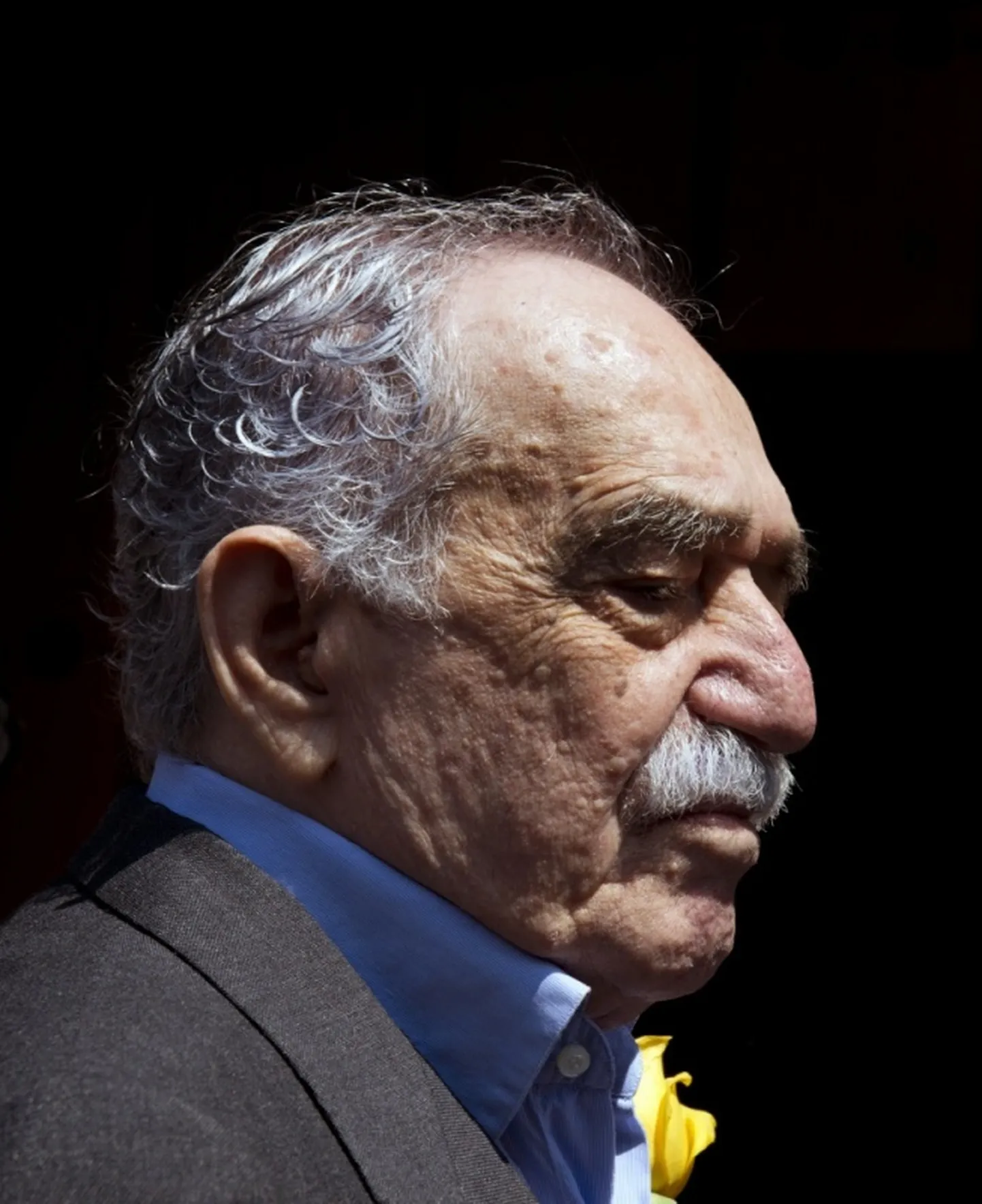 Raksta foto