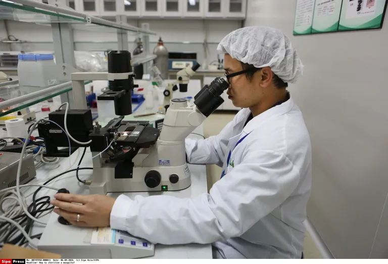 Hiina teadlased sääski steriliseerimas. Pilt on illustreeriv.