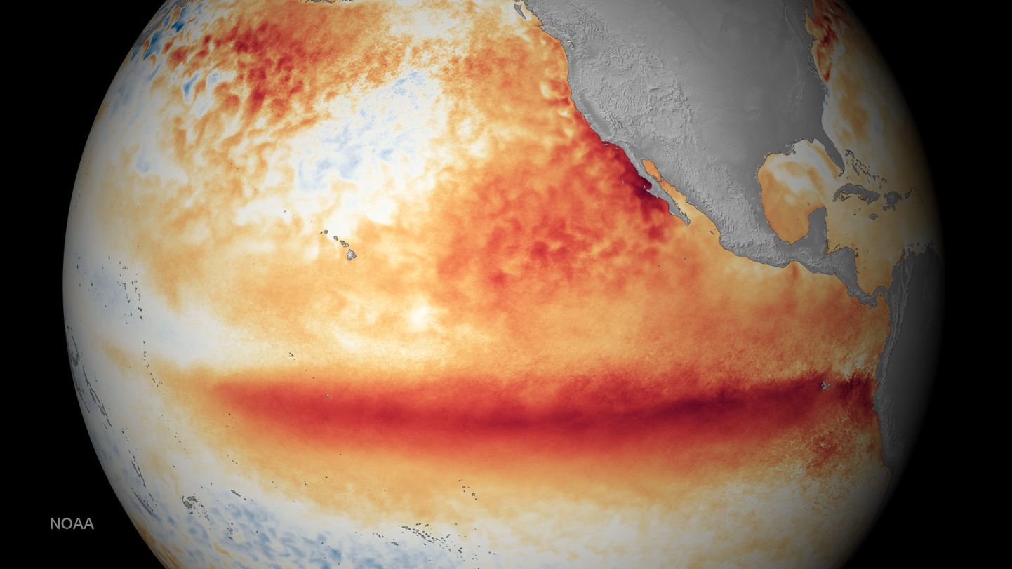 Merepinna temperatuurid üle-eelmise El Niño ajal 2015. aastal. Mida oranžim, seda rohkem on temperatuur normaalsest kõrgem
