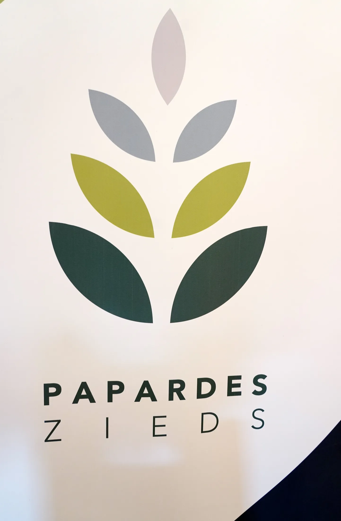 Biedrības "Papardes zieds" logo.