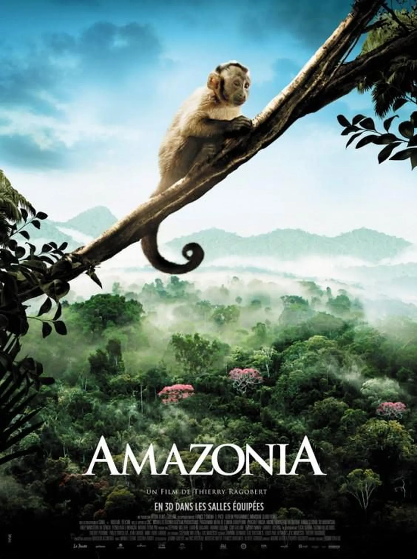 Amazonia 3D