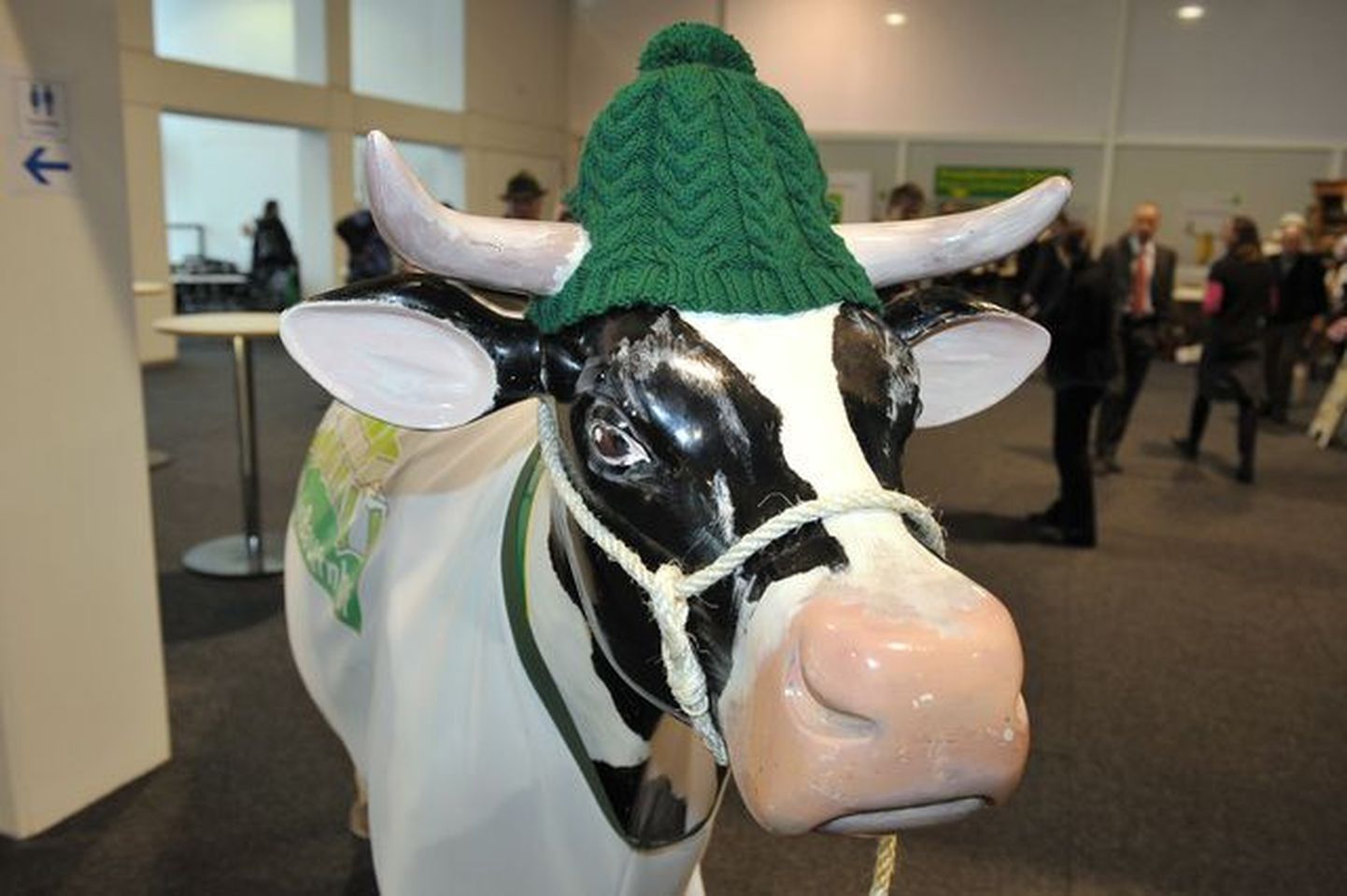 Rohelisele Nädalale Berliinis oli toodud ka külmaks talveks hästi ettevalmistatud lehm Else.