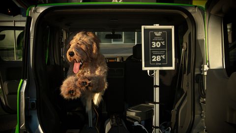 Kas te koer saaks autos kuumarabanduse? Soome robotkoer annab vastuse