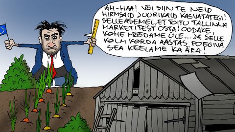 JUHTKIRI ⟩ Potipõllumeeste ahistamine