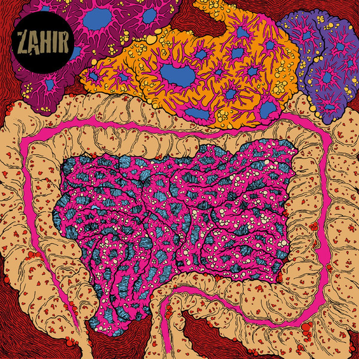 Bändi Zahir plaat «What Noise?»