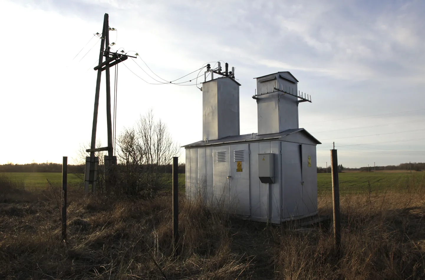 Article photo