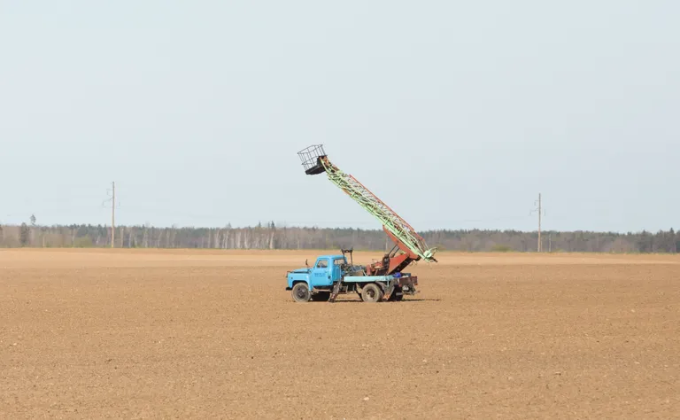 Põllumehed on haneparvede peletamiseks välja mõelnud igasugu nippe. Näiteks on nad märganud, et põllul olev auto seostub lindudele inimesega, mistõttu võib kevadeti näha mitmetel põldudel justkui sinna unustatud masinaid.