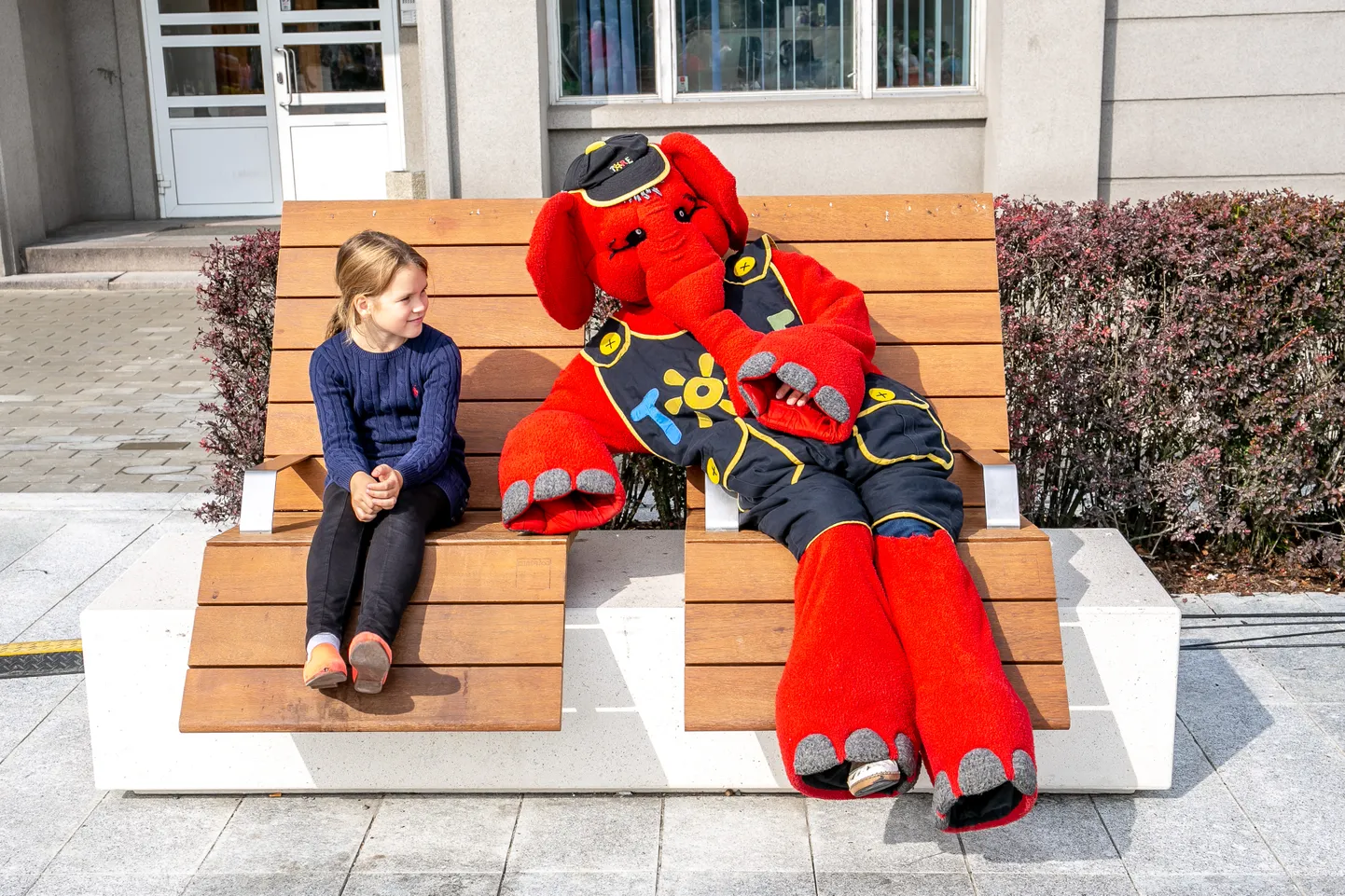 Koolirahu väljakuulutamine.