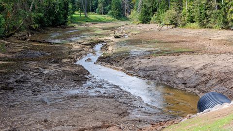 Tõrva vald otsib võimalust saada toetust üleujutuse tagajärgede kõrvaldamiseks