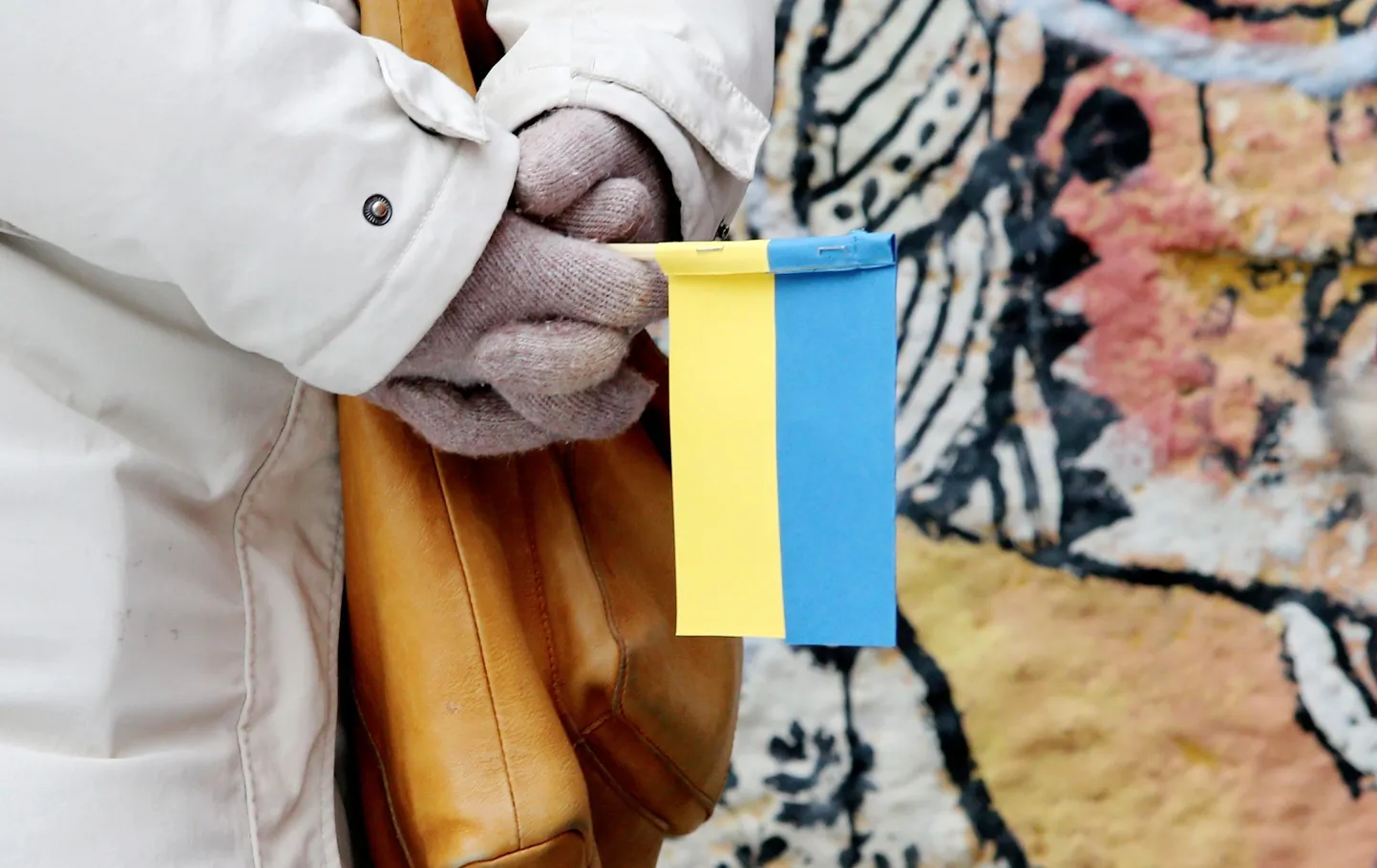 Ukraina lippe võis 24. veebruaril näha juba ka hommikupoolikul Toomemäel peetud tseremoonail.