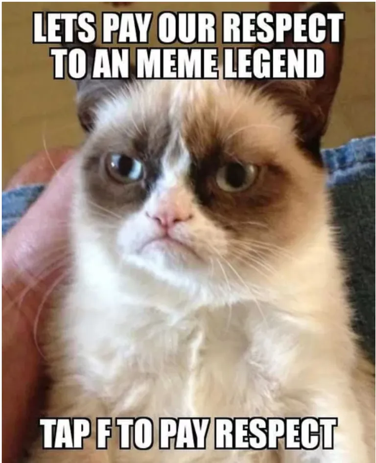 Grumpy Cat hüvastijätu meme